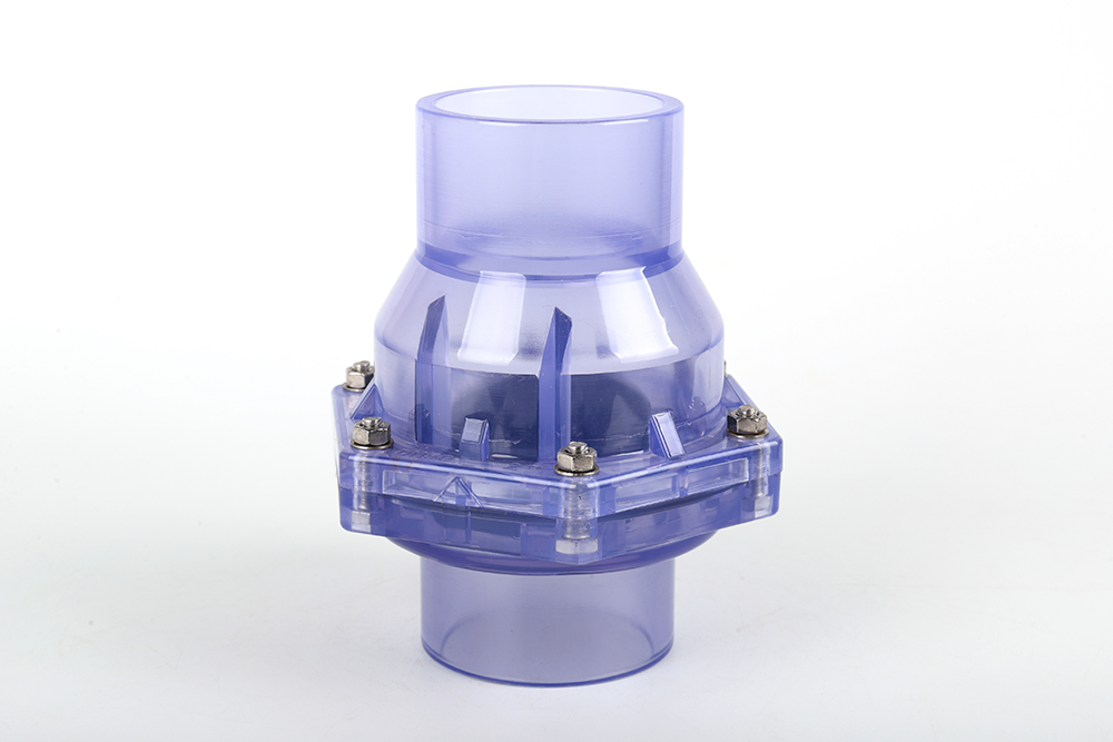 南皮透明翻板式止回阀